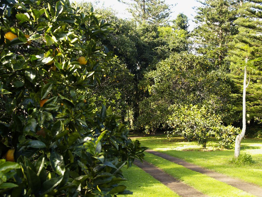 Hotel Hideaway Retreat Burnt Pine Zewnętrze zdjęcie